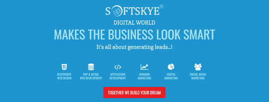 Softskye Digital Marketing LLC